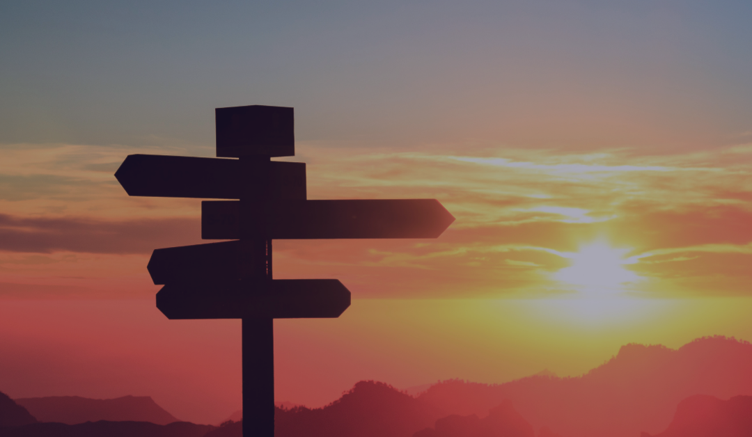 Which lender option is best for you